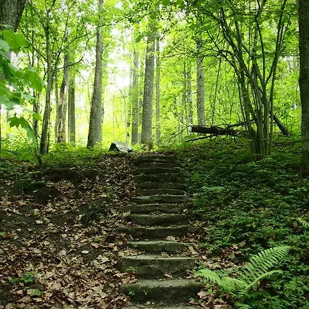 Gasthof Seaview & 4*