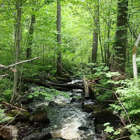 Πανσιόν Seaview & 4*