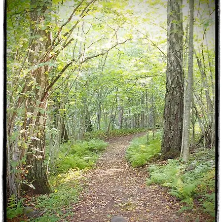 Gasthof Seaview & 4*