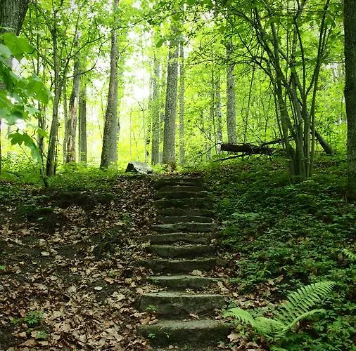 Guesthouset Seaview & 4*