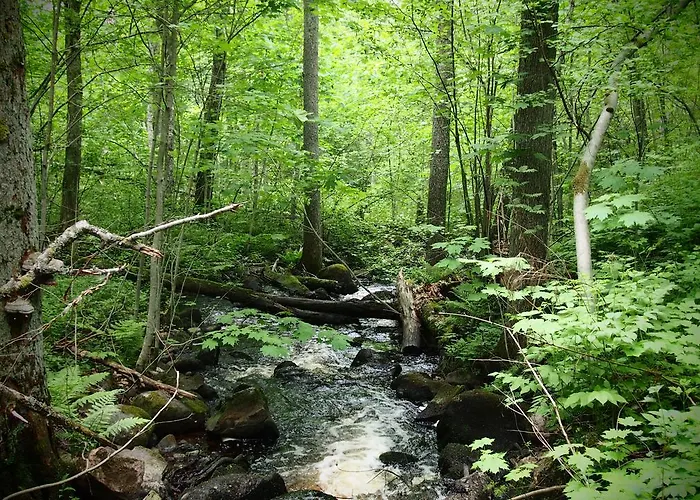 Guesthouset Seaview & 4*